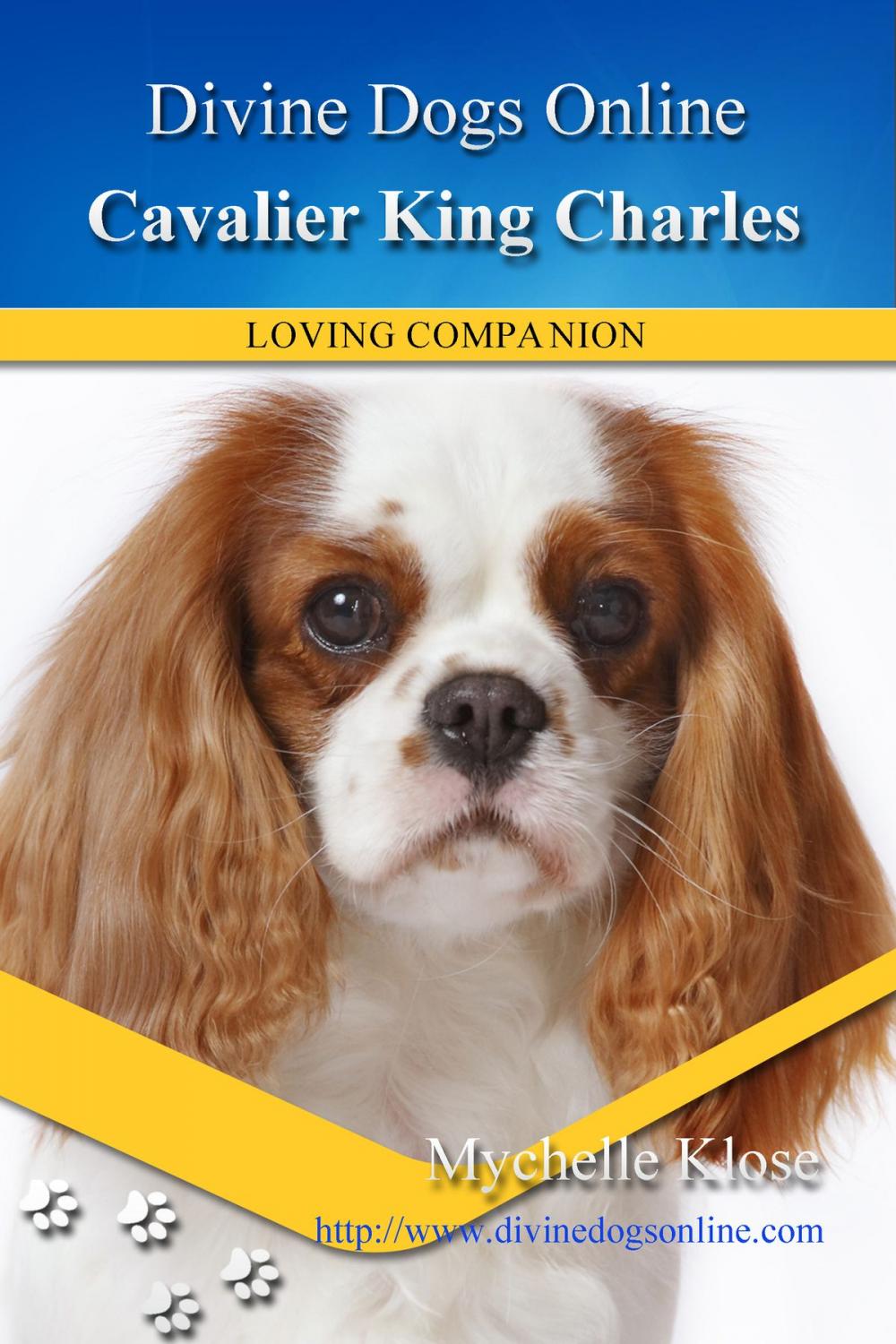 Big bigCover of Cavalier King Charles Spaniel