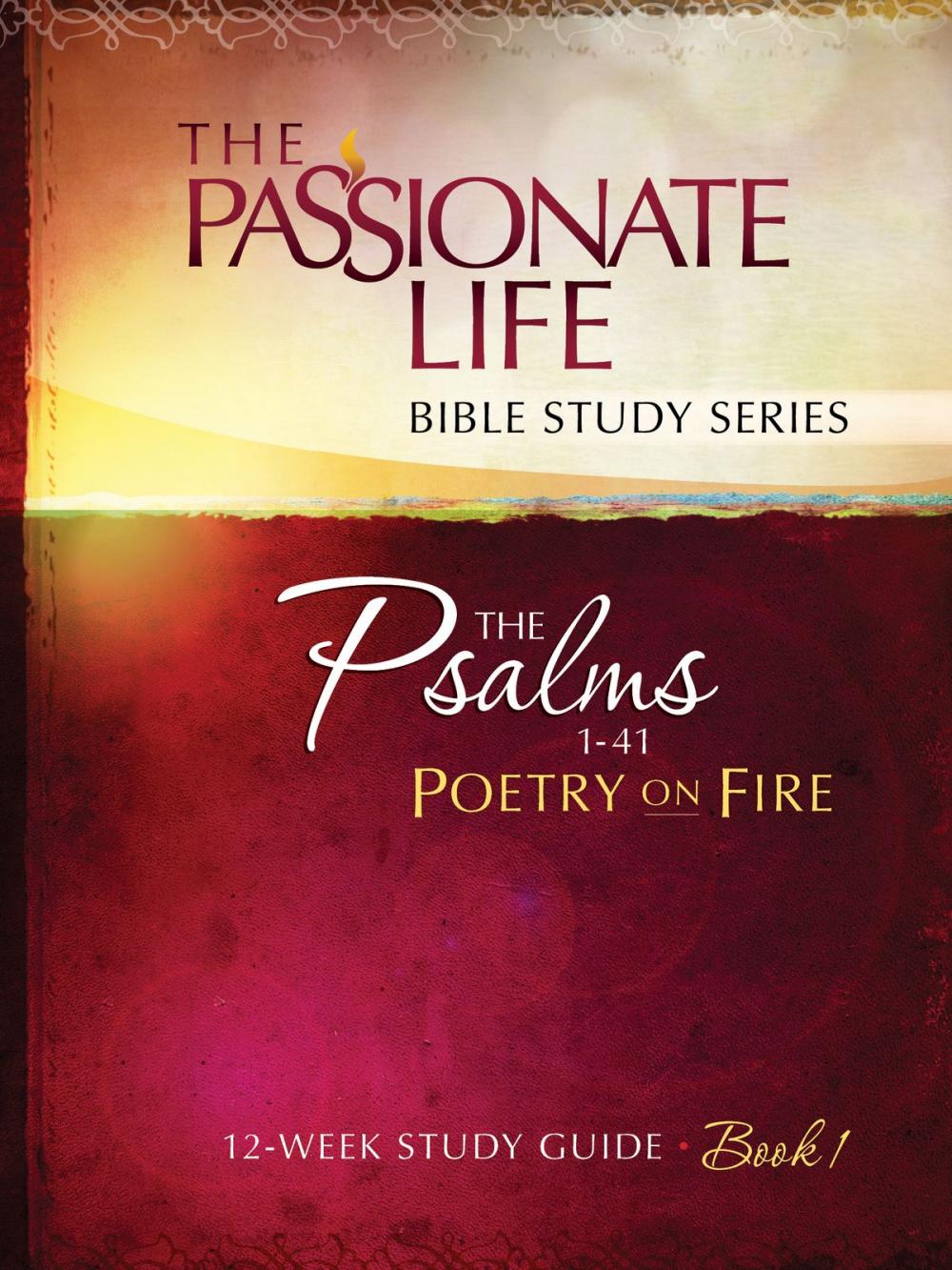 Big bigCover of Psalms: Poetry on Fire Book One 12-week Study Guide