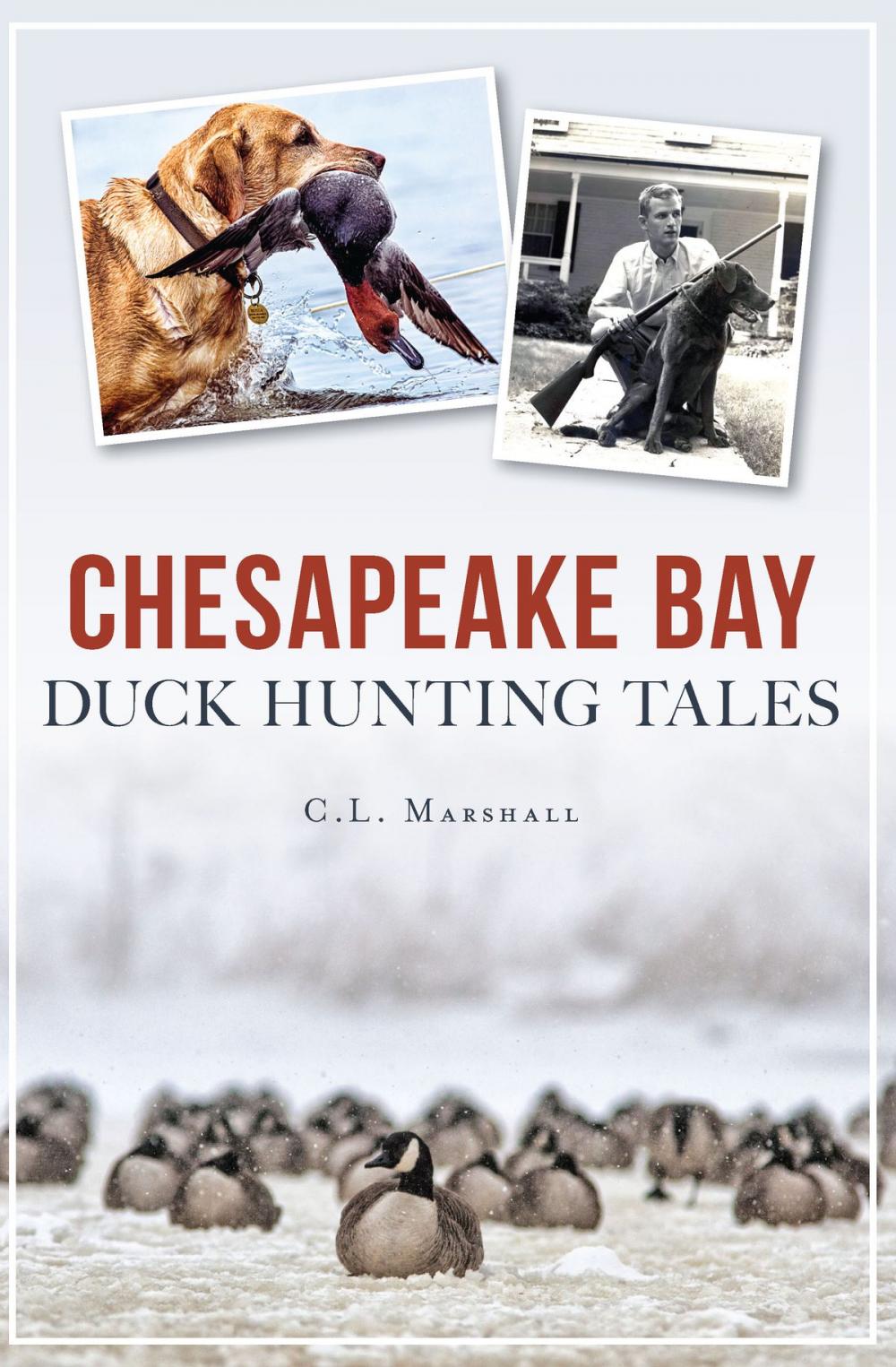 Big bigCover of Chesapeake Bay Duck Hunting Tales