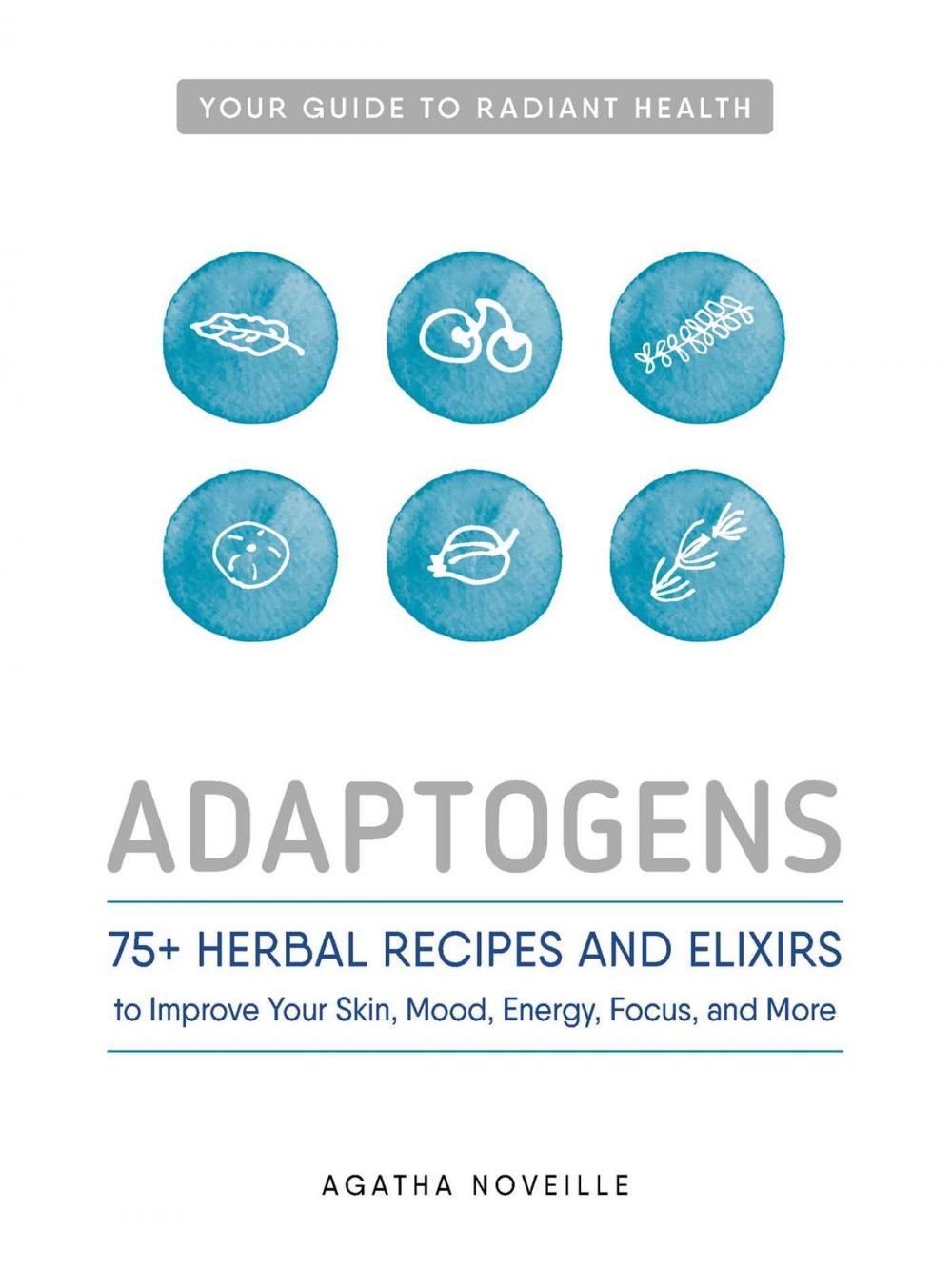 Big bigCover of Adaptogens