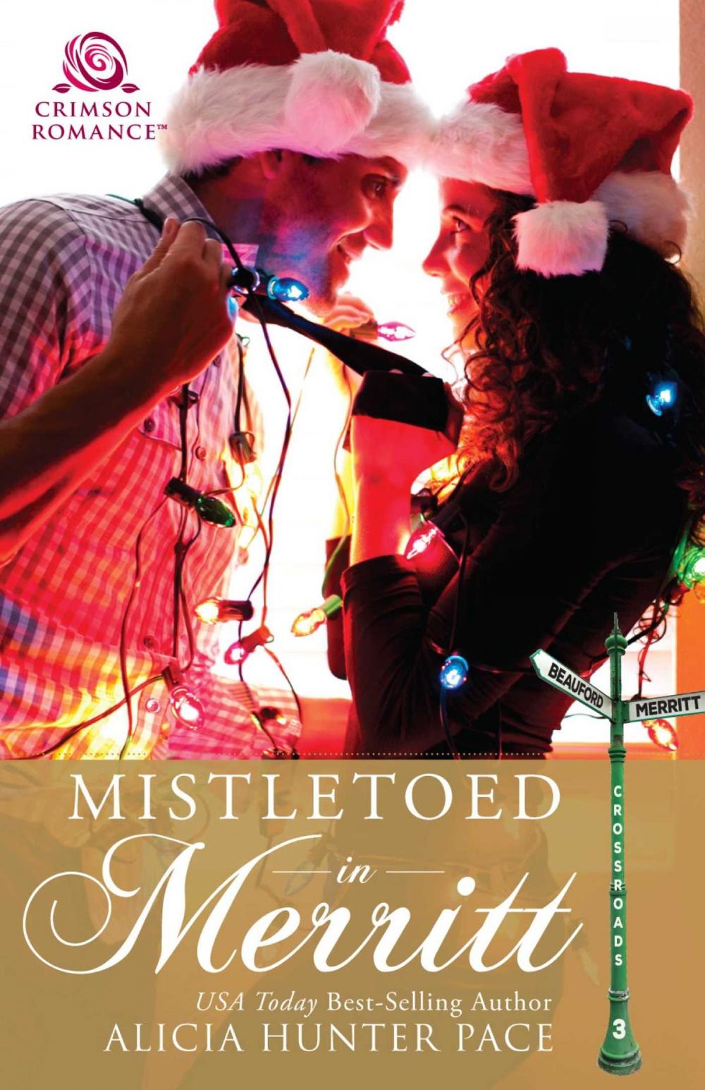 Big bigCover of Mistletoed in Merritt