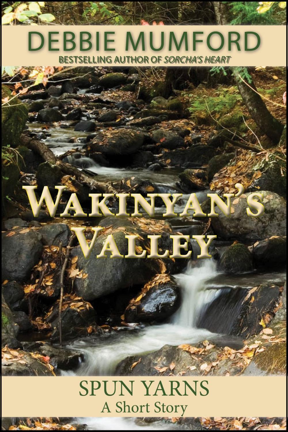 Big bigCover of Wakinyan's Valley