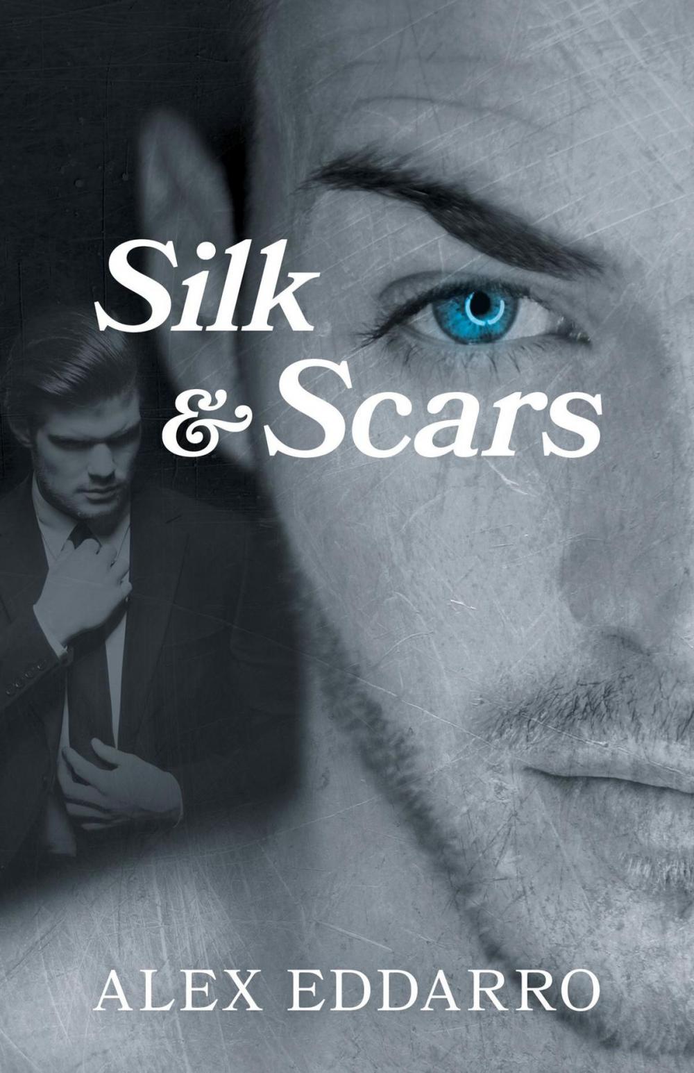 Big bigCover of Silk & Scars