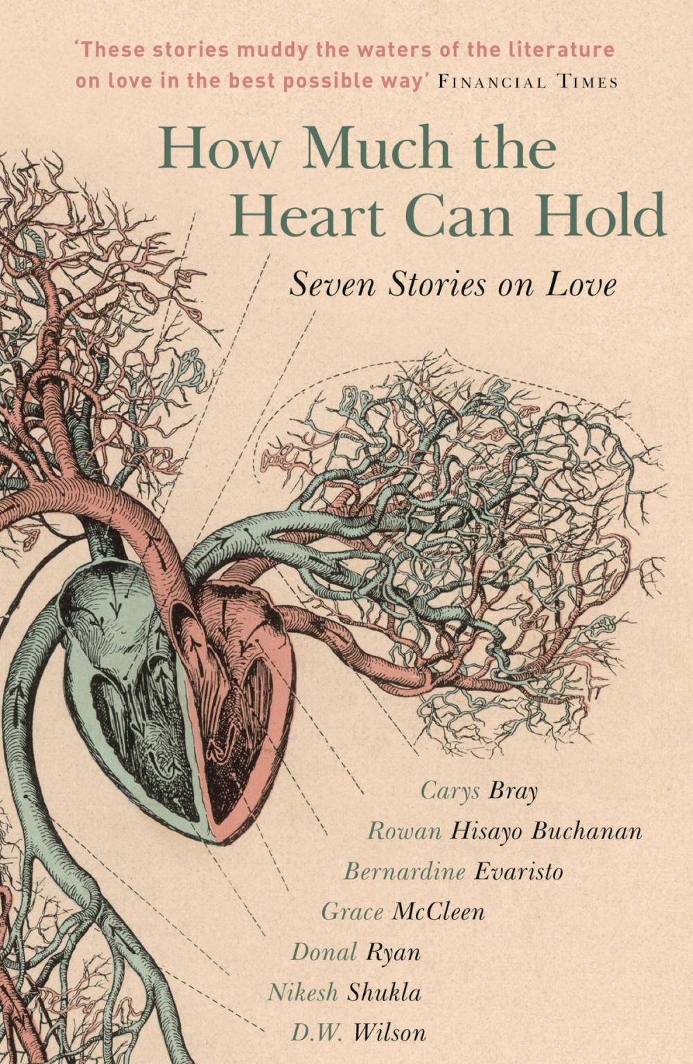 Big bigCover of How Much the Heart Can Hold: the perfect alternative Valentine's gift