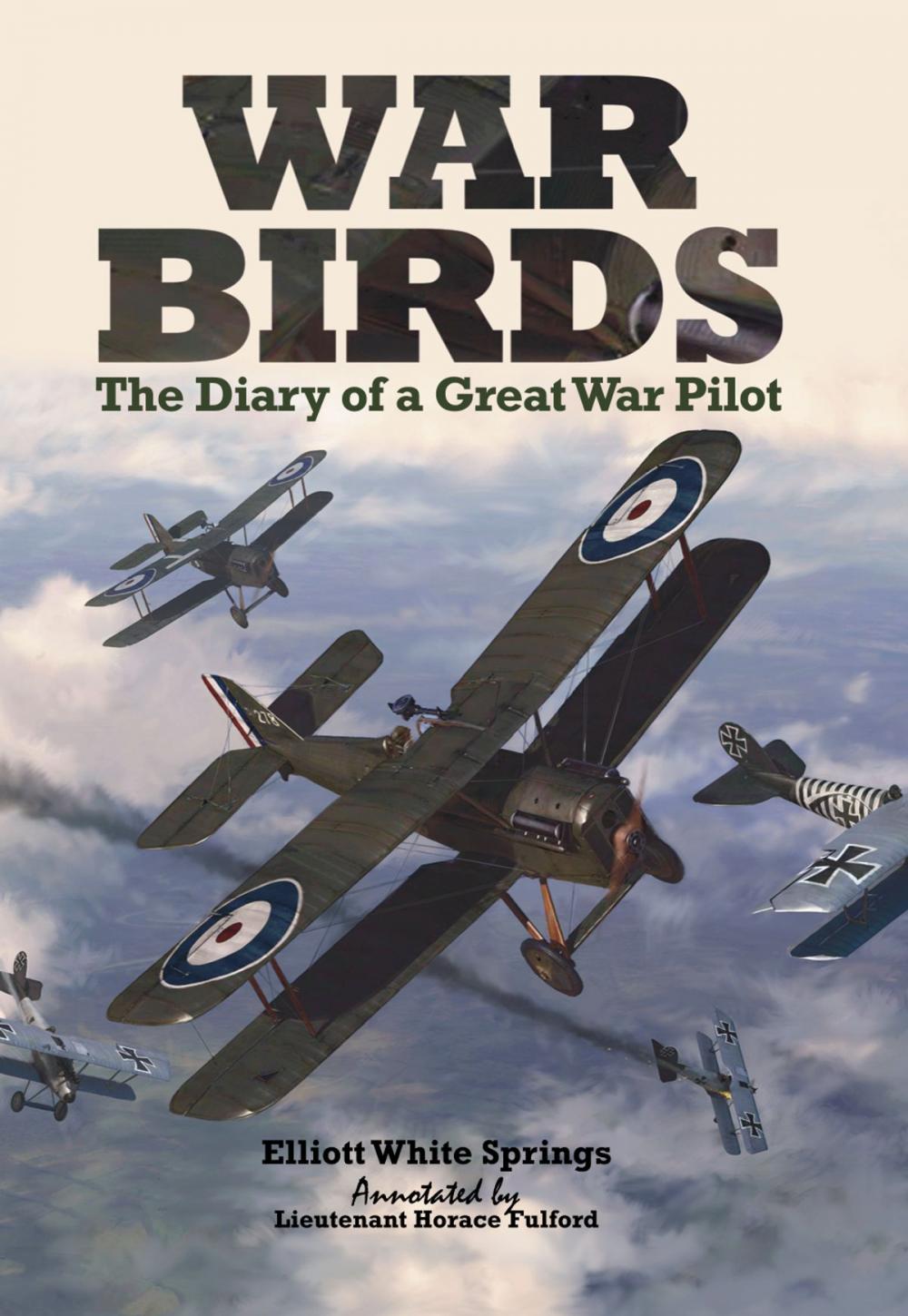 Big bigCover of War Birds