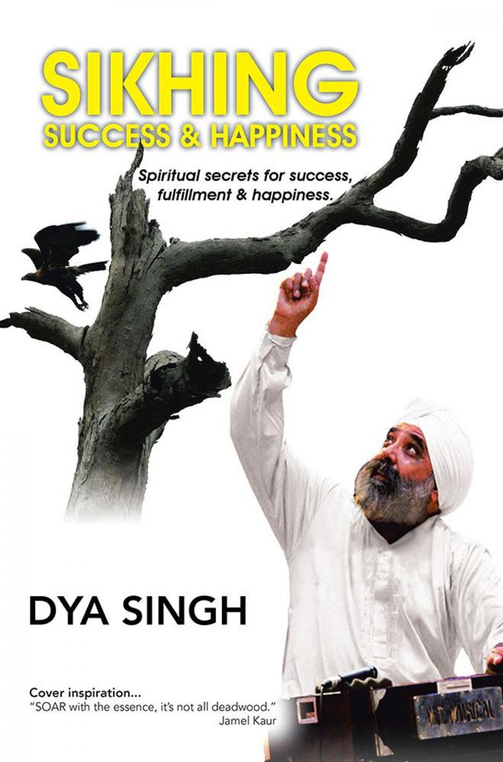 Big bigCover of Sikhing Success & Happiness