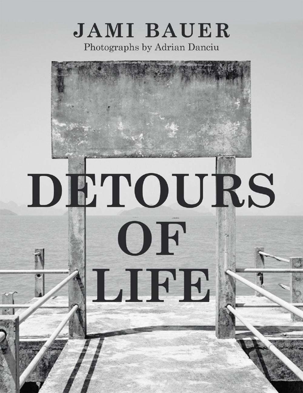 Big bigCover of Detours of Life