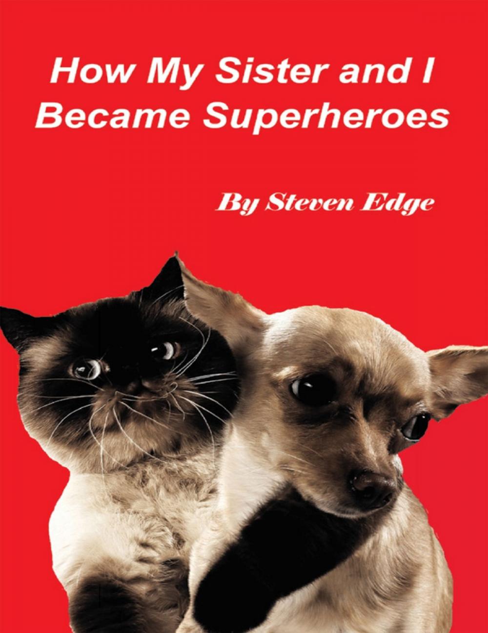 Big bigCover of How My Sister and I Became Superheroes