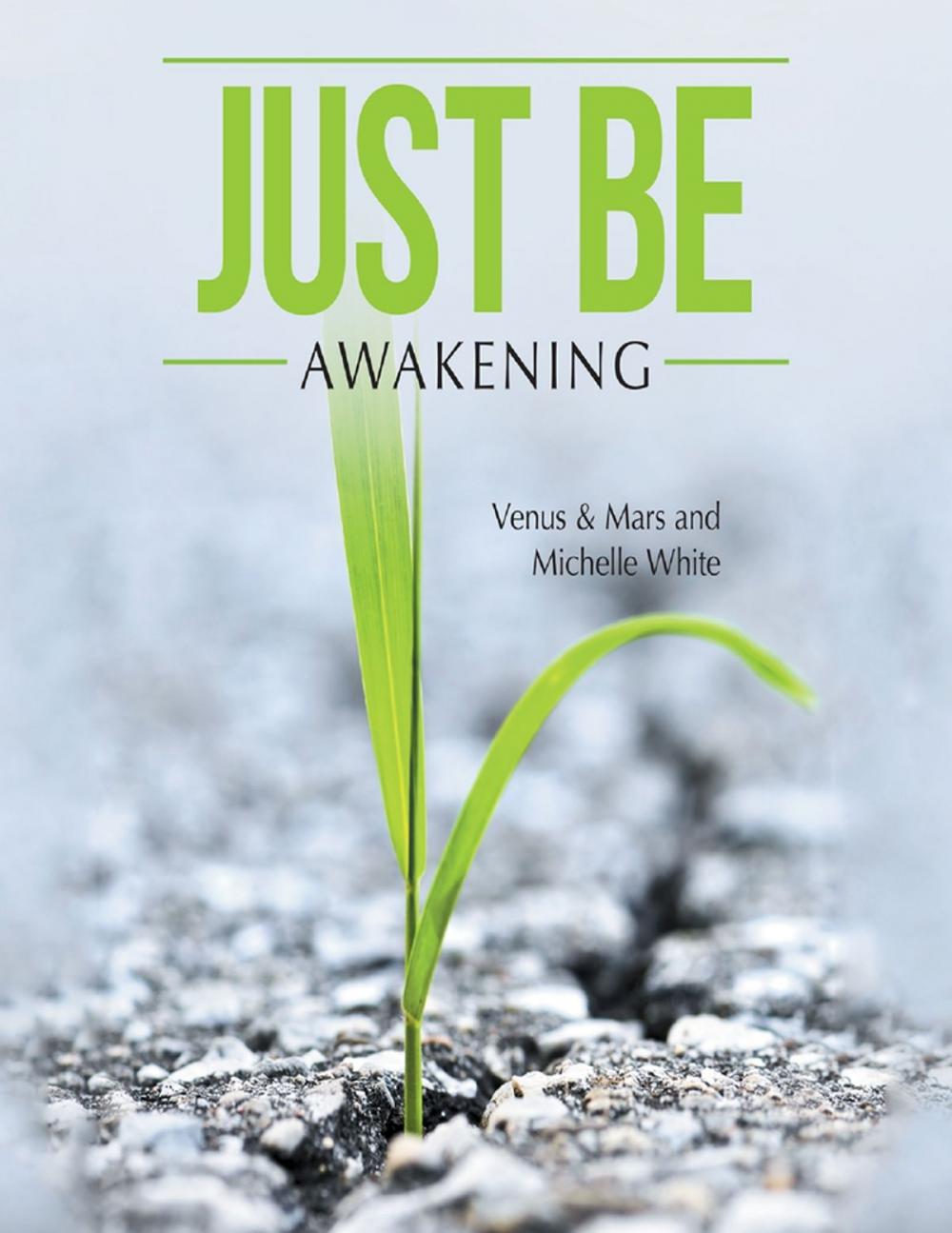 Big bigCover of Just Be: Awakening