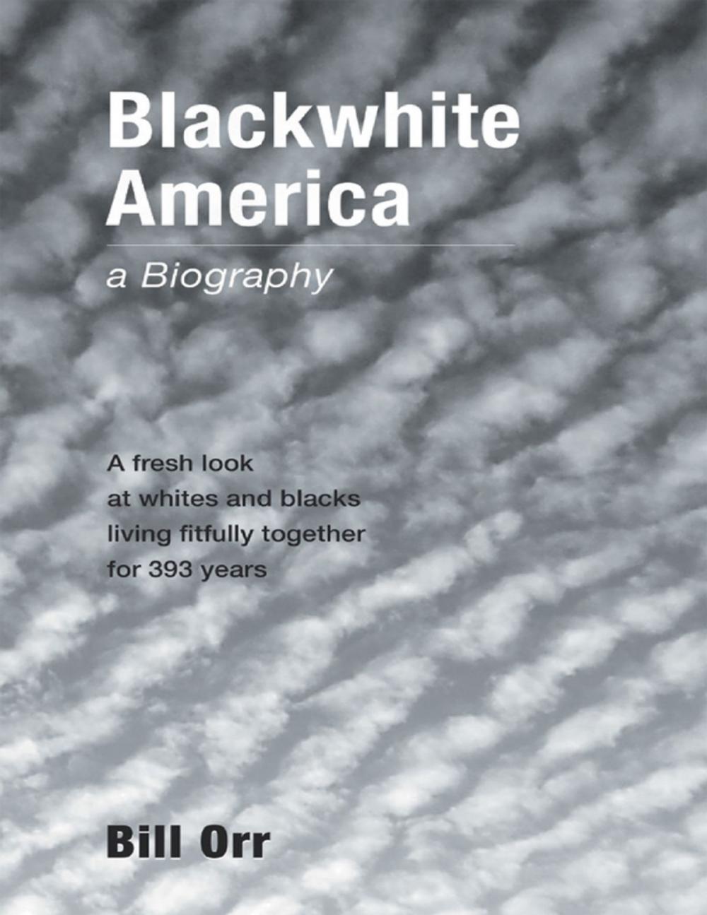 Big bigCover of Blackwhite America: A Fresh Look at Whites and Blacks Living Fitfully Together for 393 Years