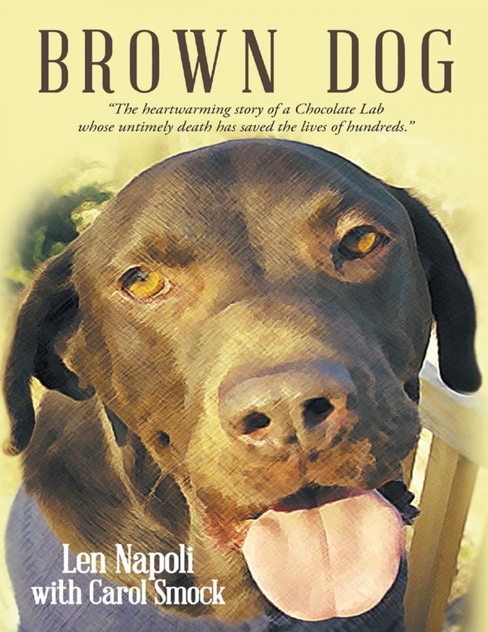 Big bigCover of Brown Dog