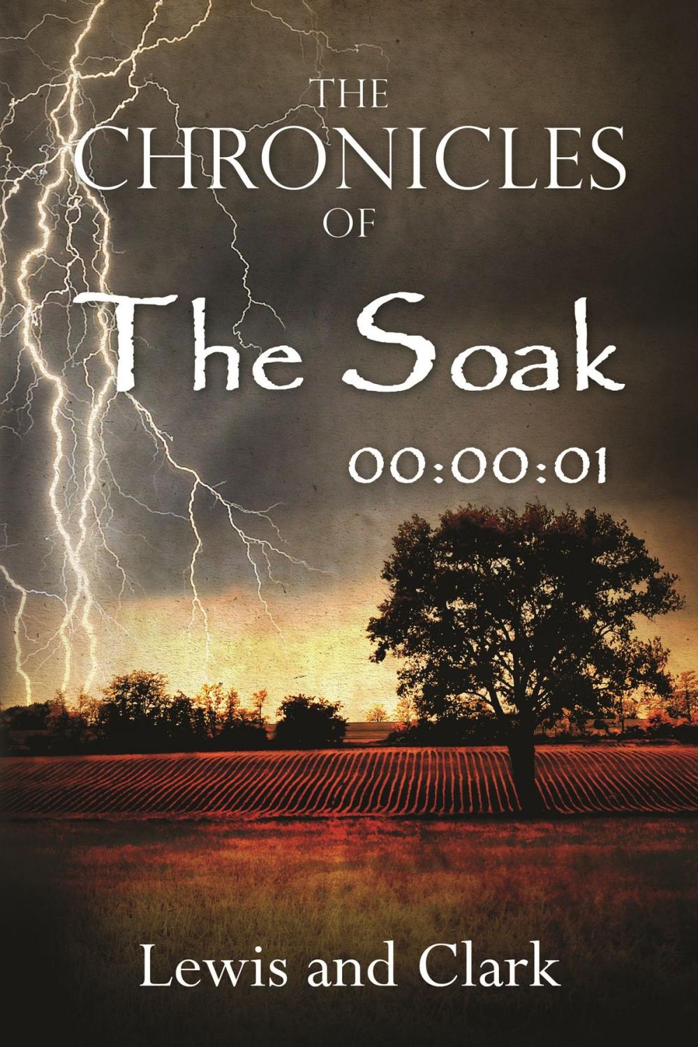 Big bigCover of The Chronicles of The Soak