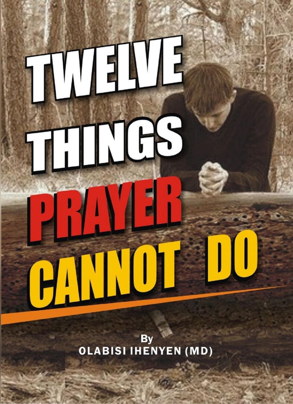 Big bigCover of Twelve Things Prayer Cannot Do