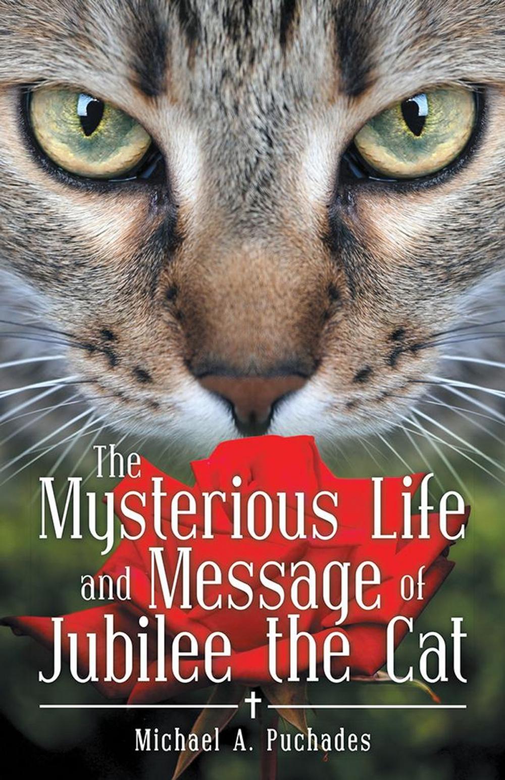 Big bigCover of The Mysterious Life and Message of Jubilee the Cat