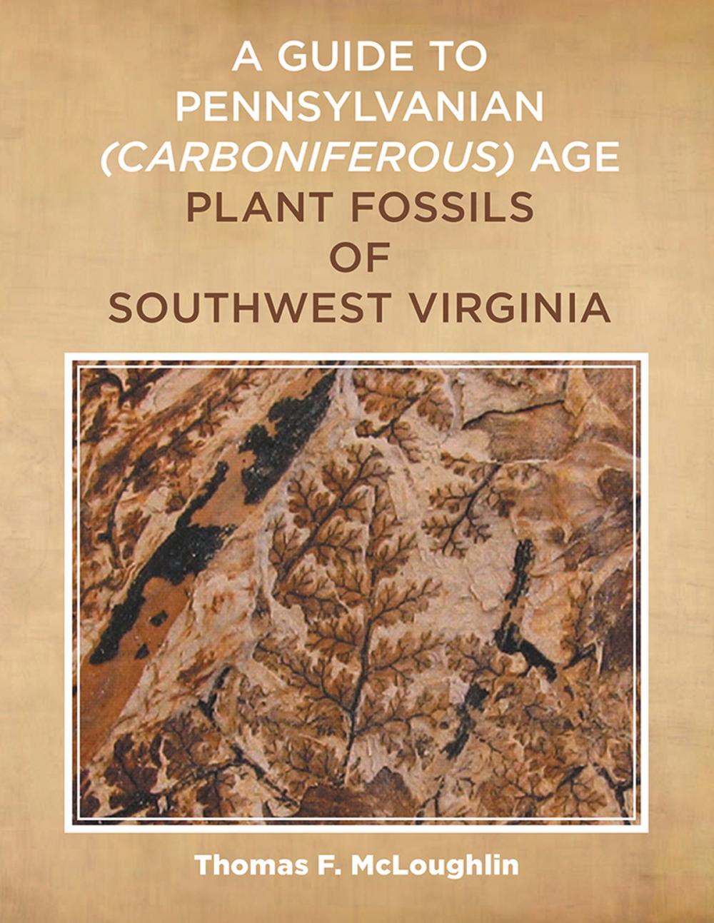 Big bigCover of A Guide to Pennsylvanian Carboniferous-Age Plant Fossils of Southwest Virginia.