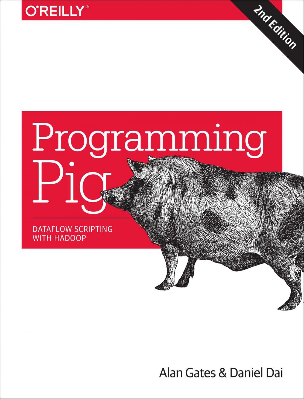 Big bigCover of Programming Pig