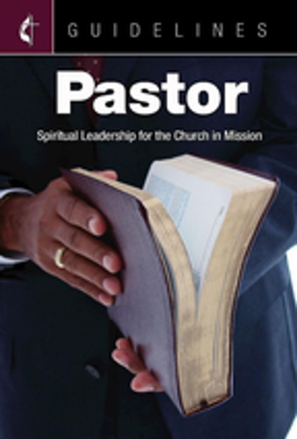 Big bigCover of Guidelines Pastor