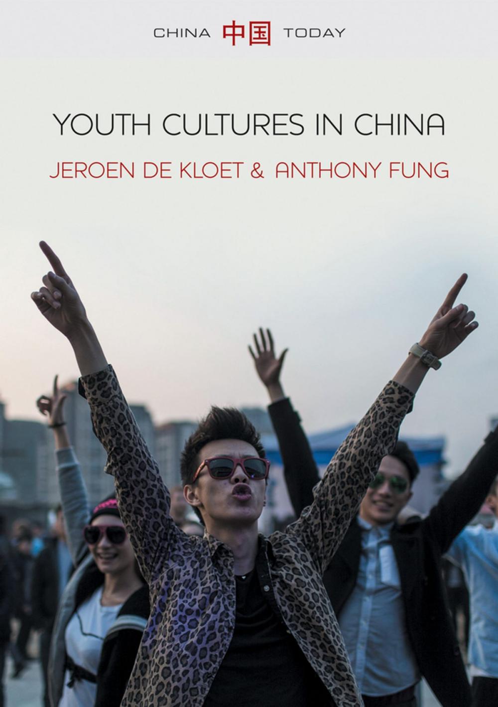 Big bigCover of Youth Cultures in China