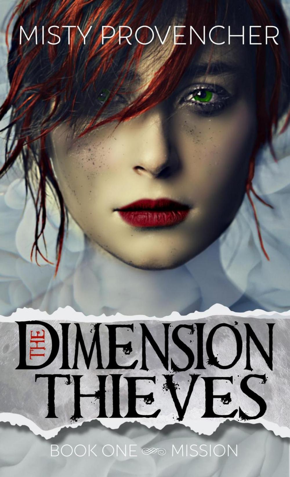 Big bigCover of The Dimension Thieves (Book One, Mission)