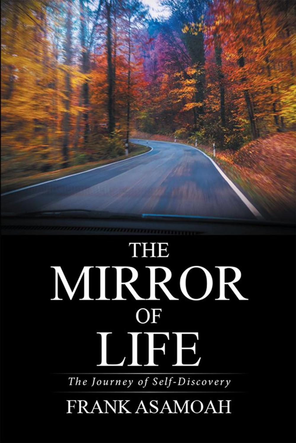 Big bigCover of The Mirror of Life