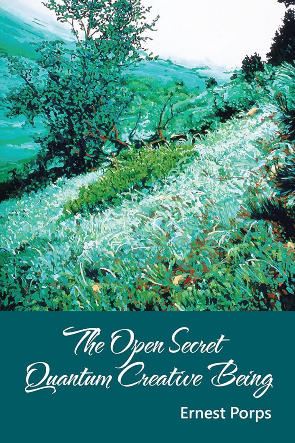 Big bigCover of The Open Secret