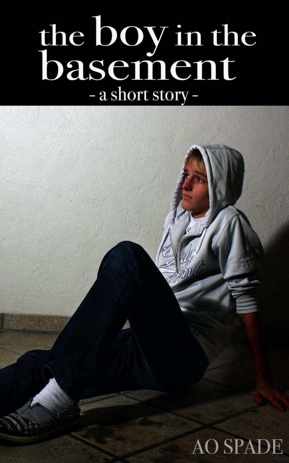 Big bigCover of The Boy In The Basement - A Short Story