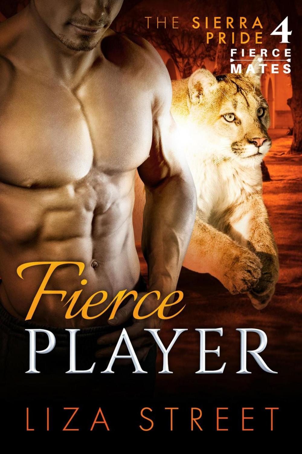 Big bigCover of Fierce Player