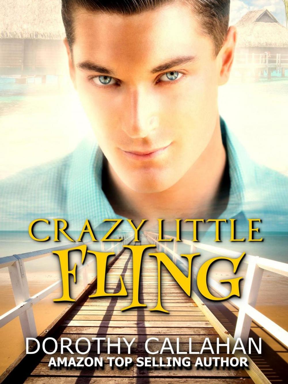 Big bigCover of Crazy Little Fling