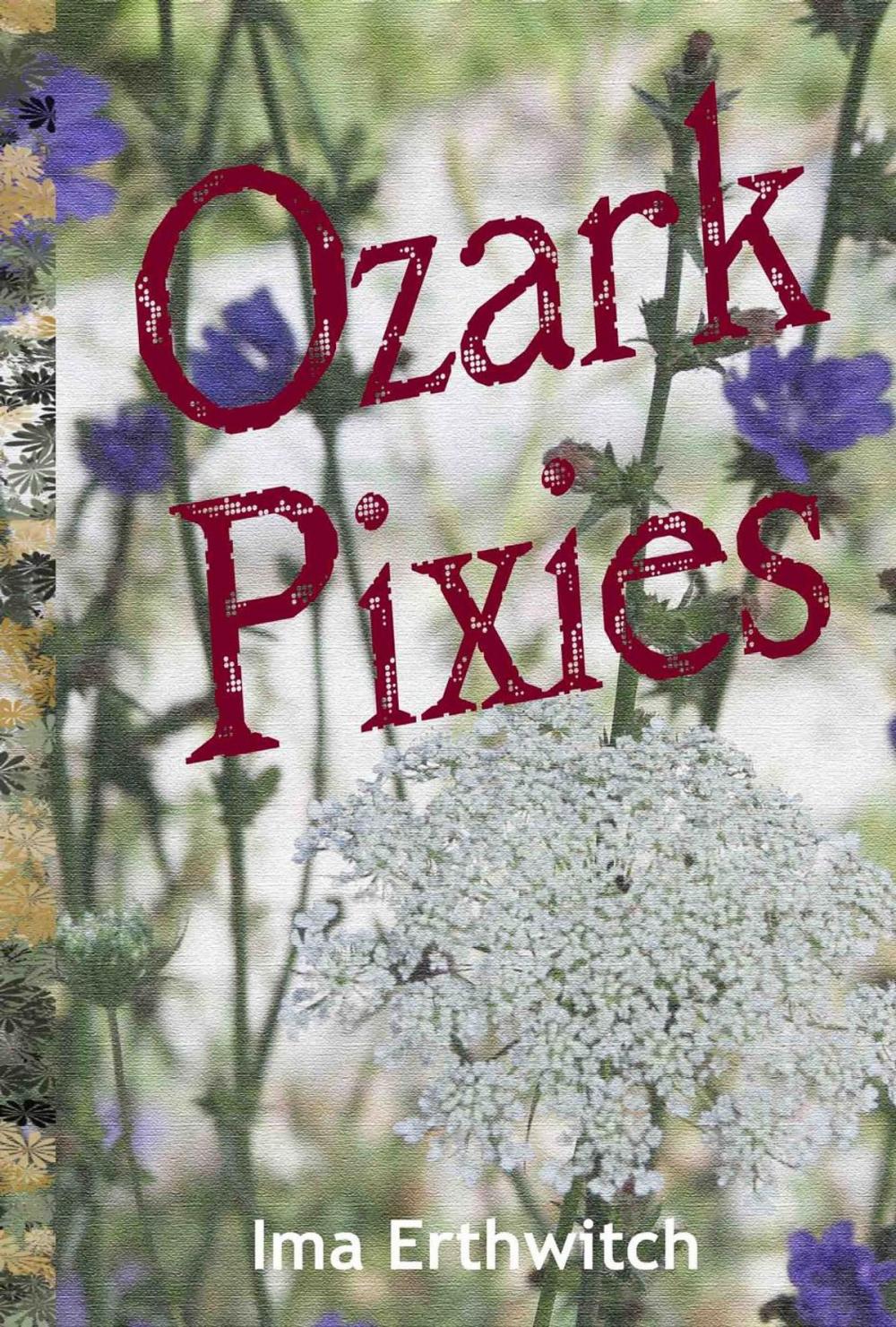 Big bigCover of Ozark Pixies