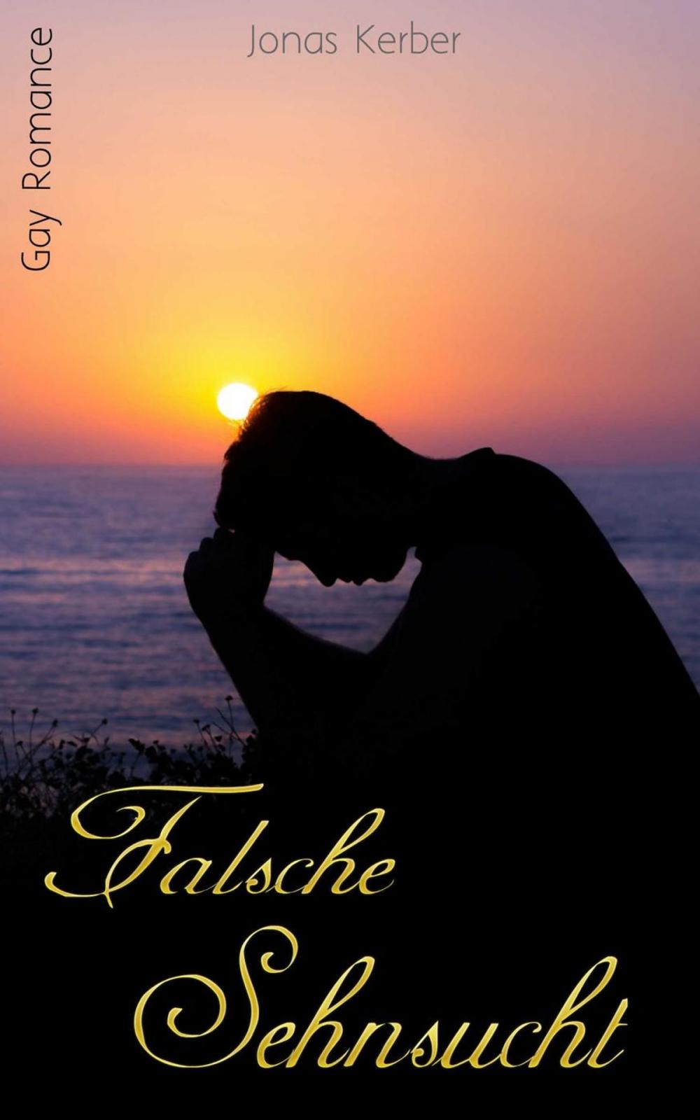 Big bigCover of Falsche Sehnsucht (Gay Romance)