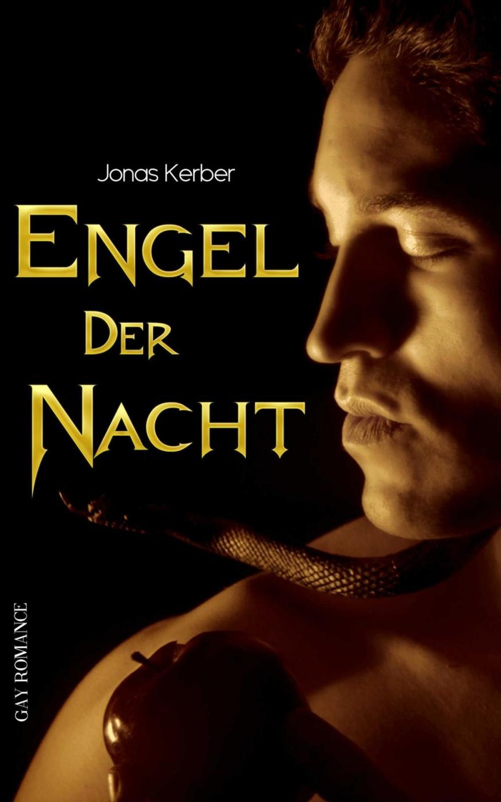 Big bigCover of Engel der Nacht (Gay Romance)