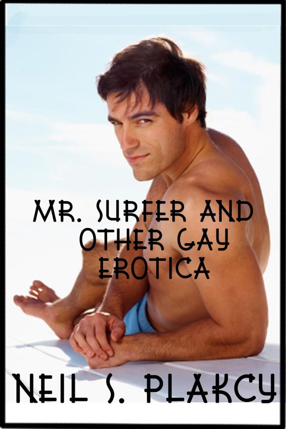 Big bigCover of Mr. Surfer and Other Gay Erotica