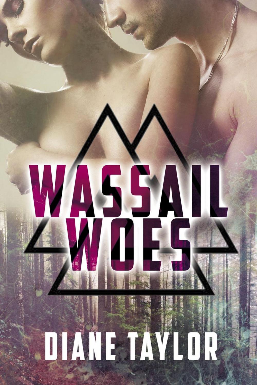 Big bigCover of Wassail Woes