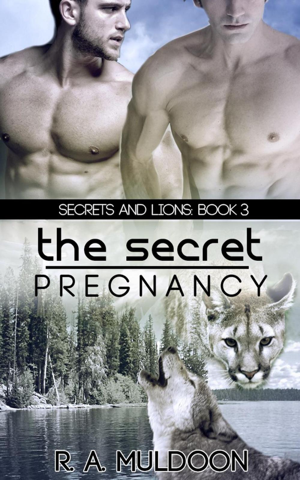 Big bigCover of The Secret Pregnancy