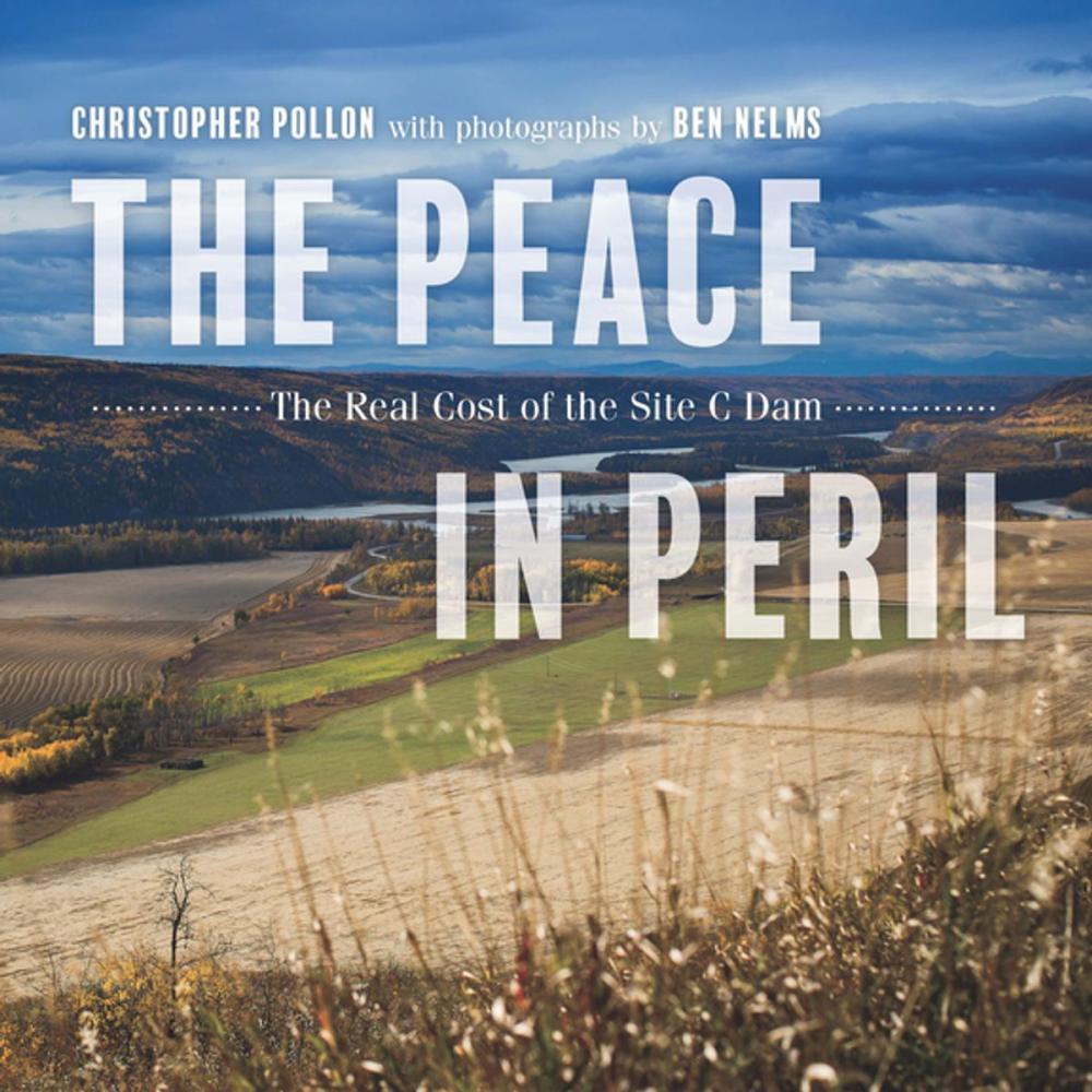 Big bigCover of The Peace in Peril