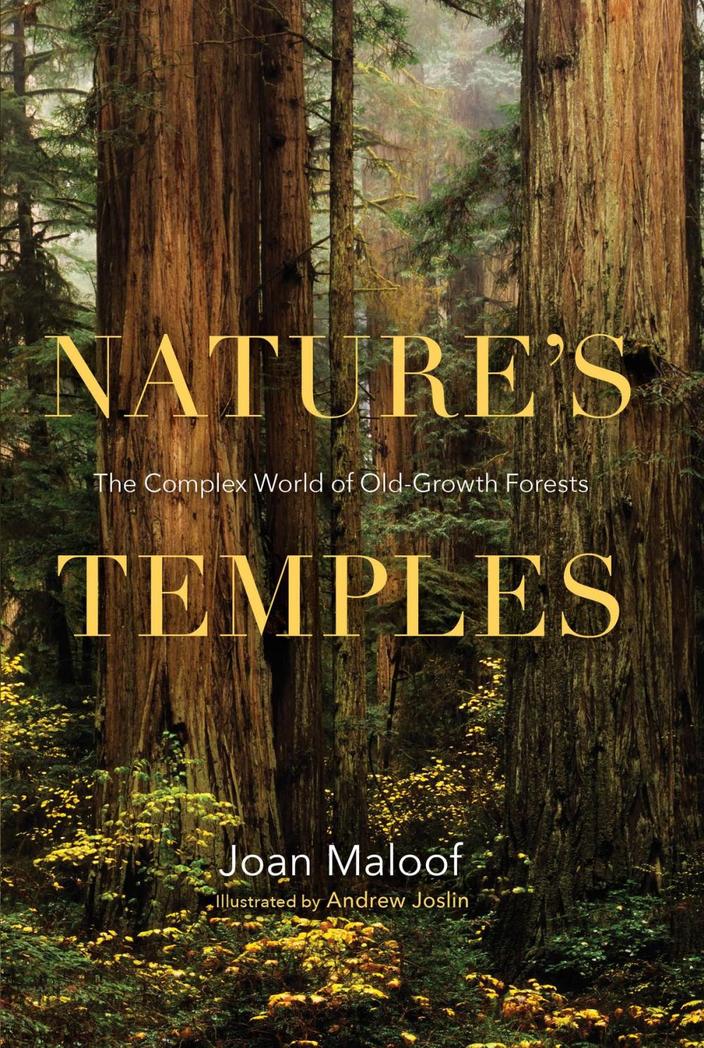 Big bigCover of Nature's Temples