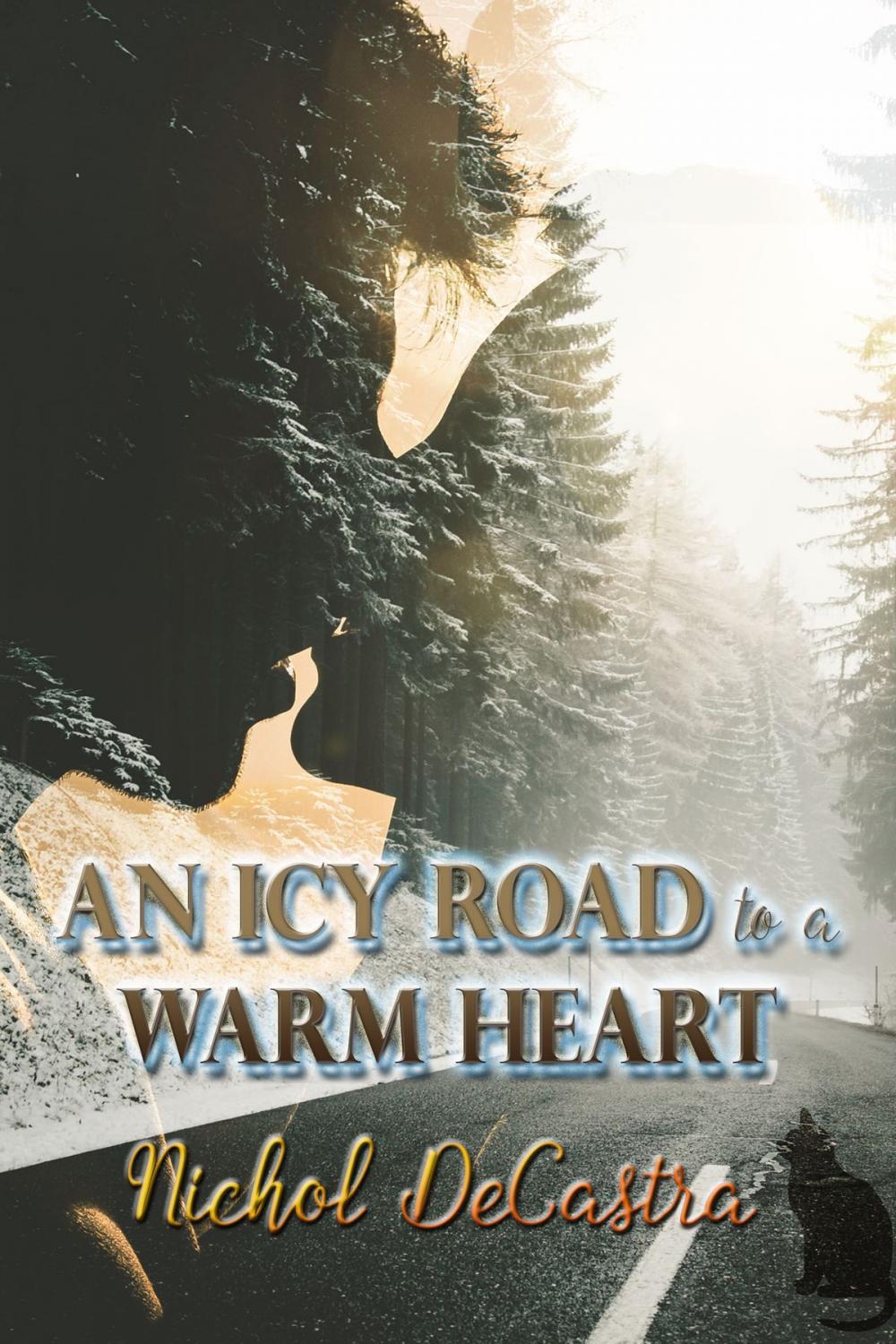 Big bigCover of An Icy Road to a Warm Heart