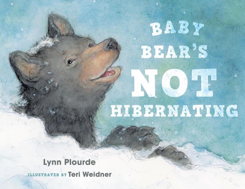 Big bigCover of Baby Bear's Not Hibernating