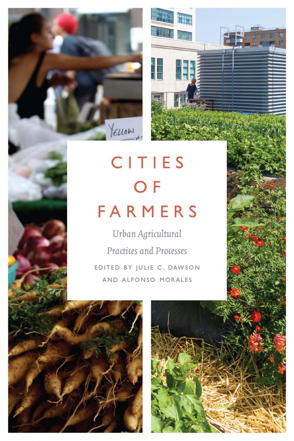 Big bigCover of Cities of Farmers