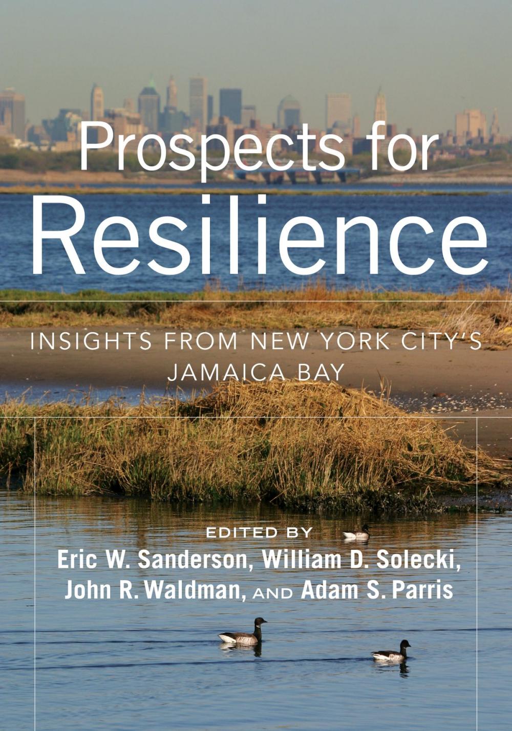 Big bigCover of Prospects for Resilience