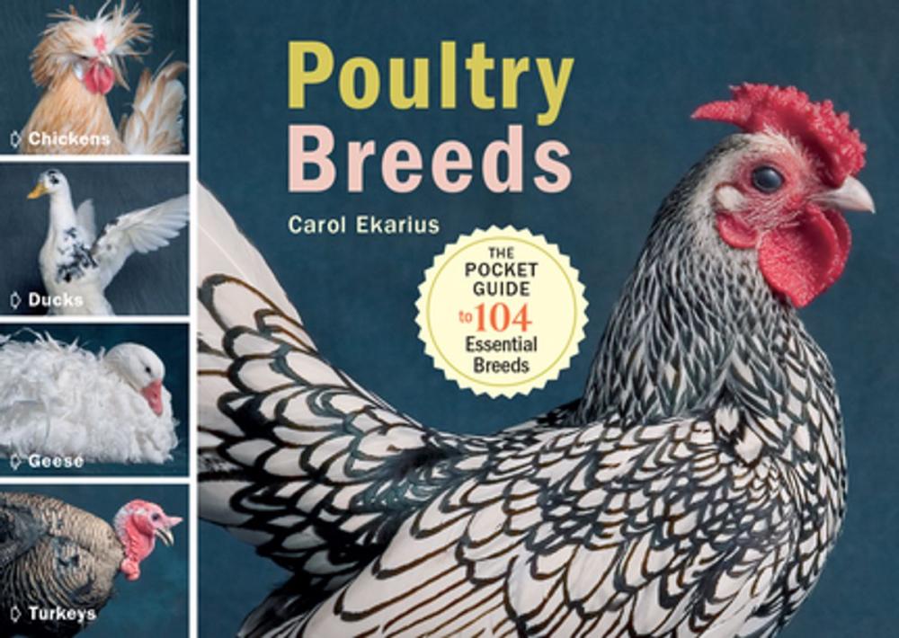 Big bigCover of Poultry Breeds