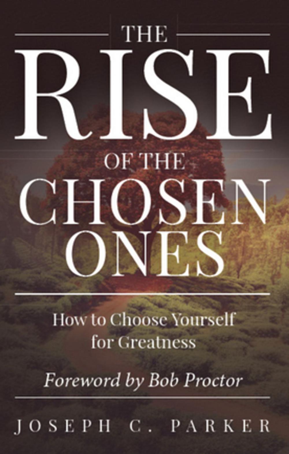 Big bigCover of The Rise of the Chosen Ones