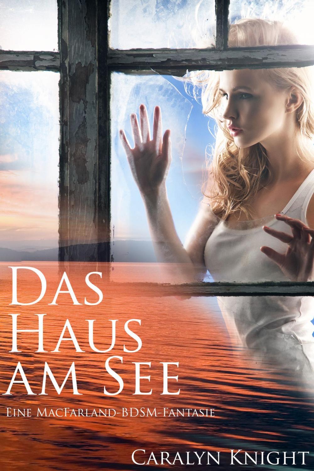 Big bigCover of Das Haus am See