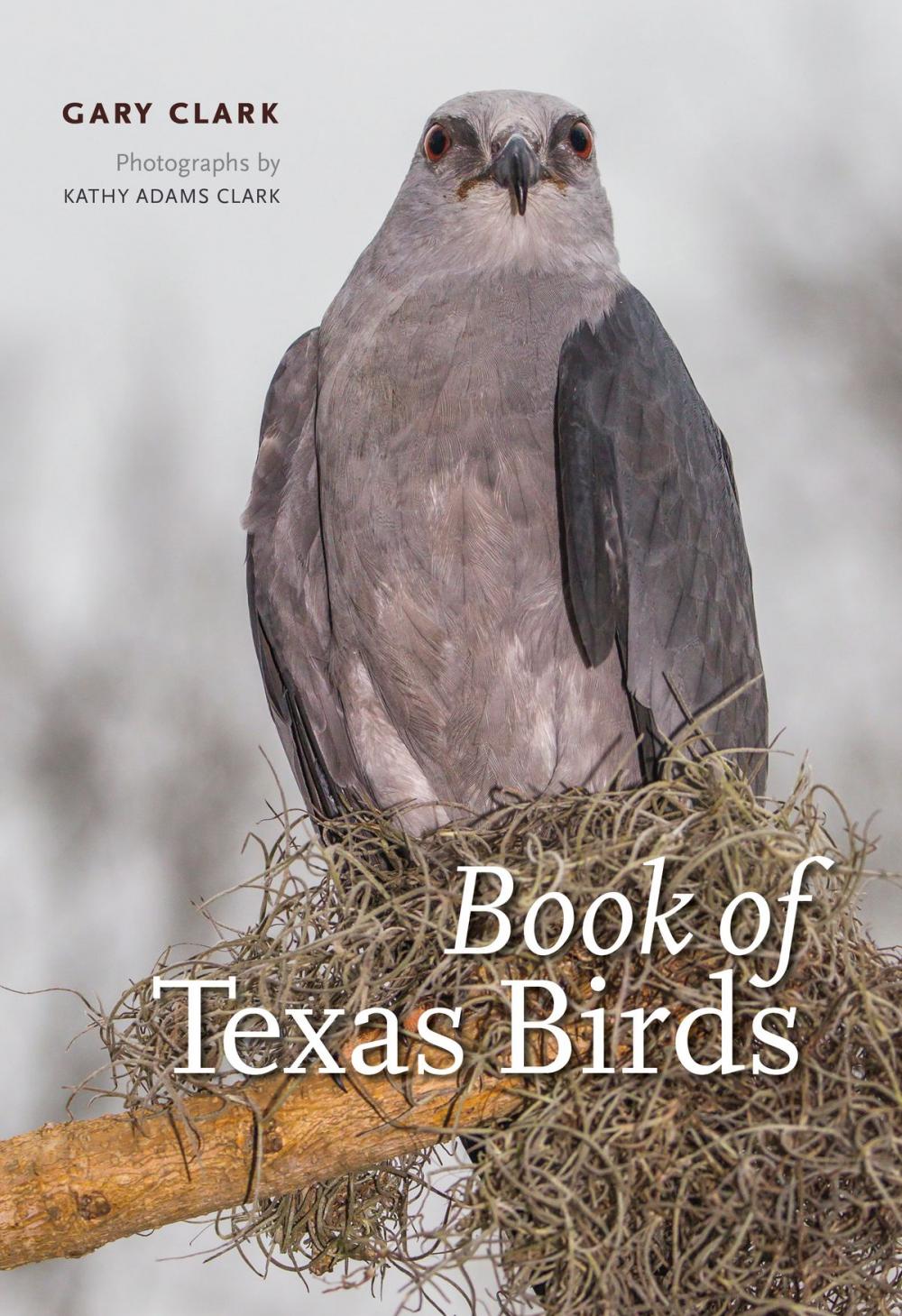 Big bigCover of Book of Texas Birds