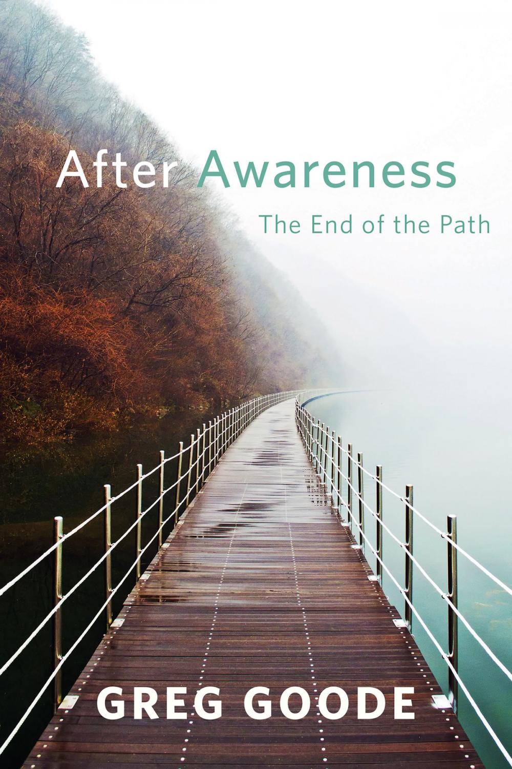 Big bigCover of After Awareness