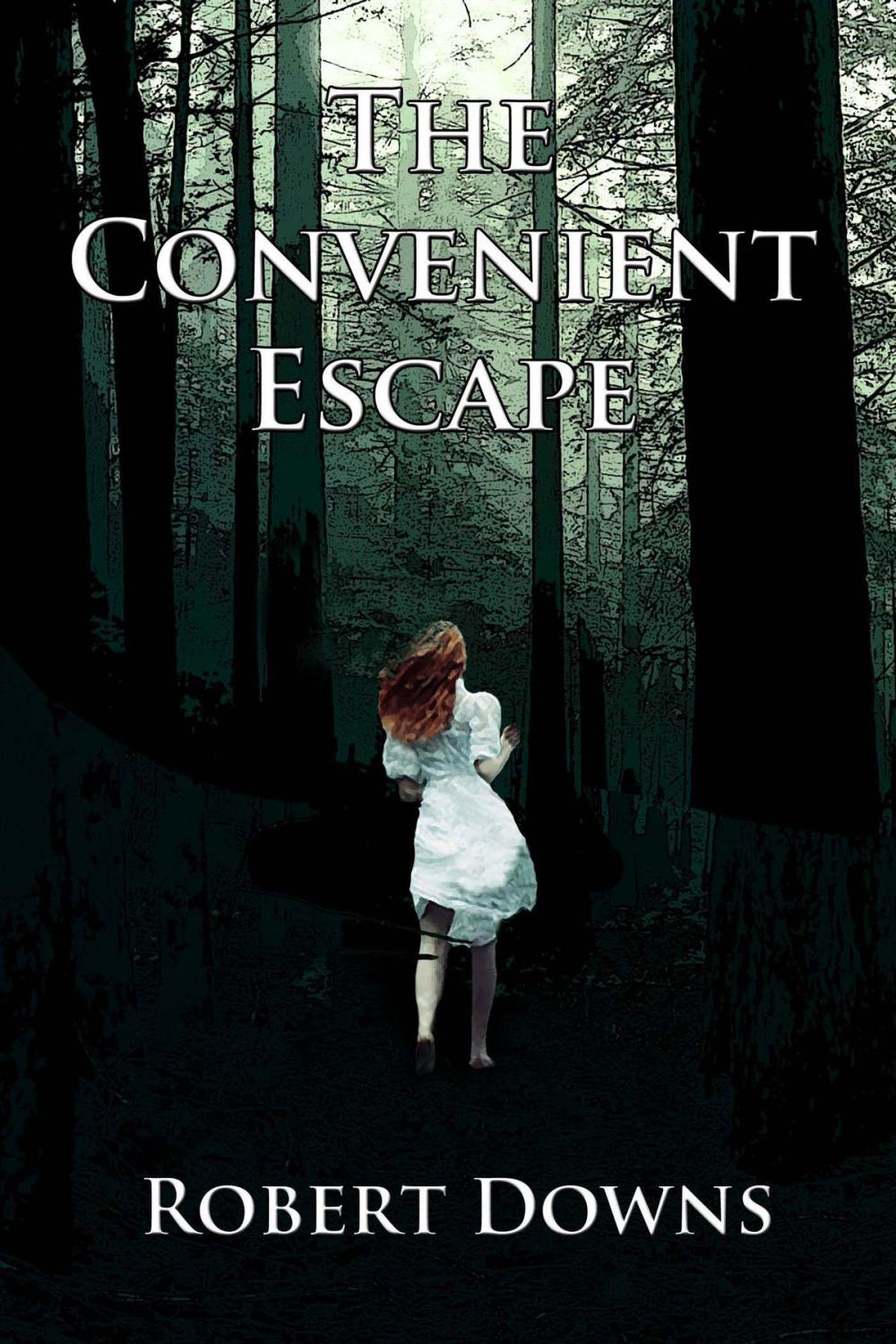 Big bigCover of The Convenient Escape