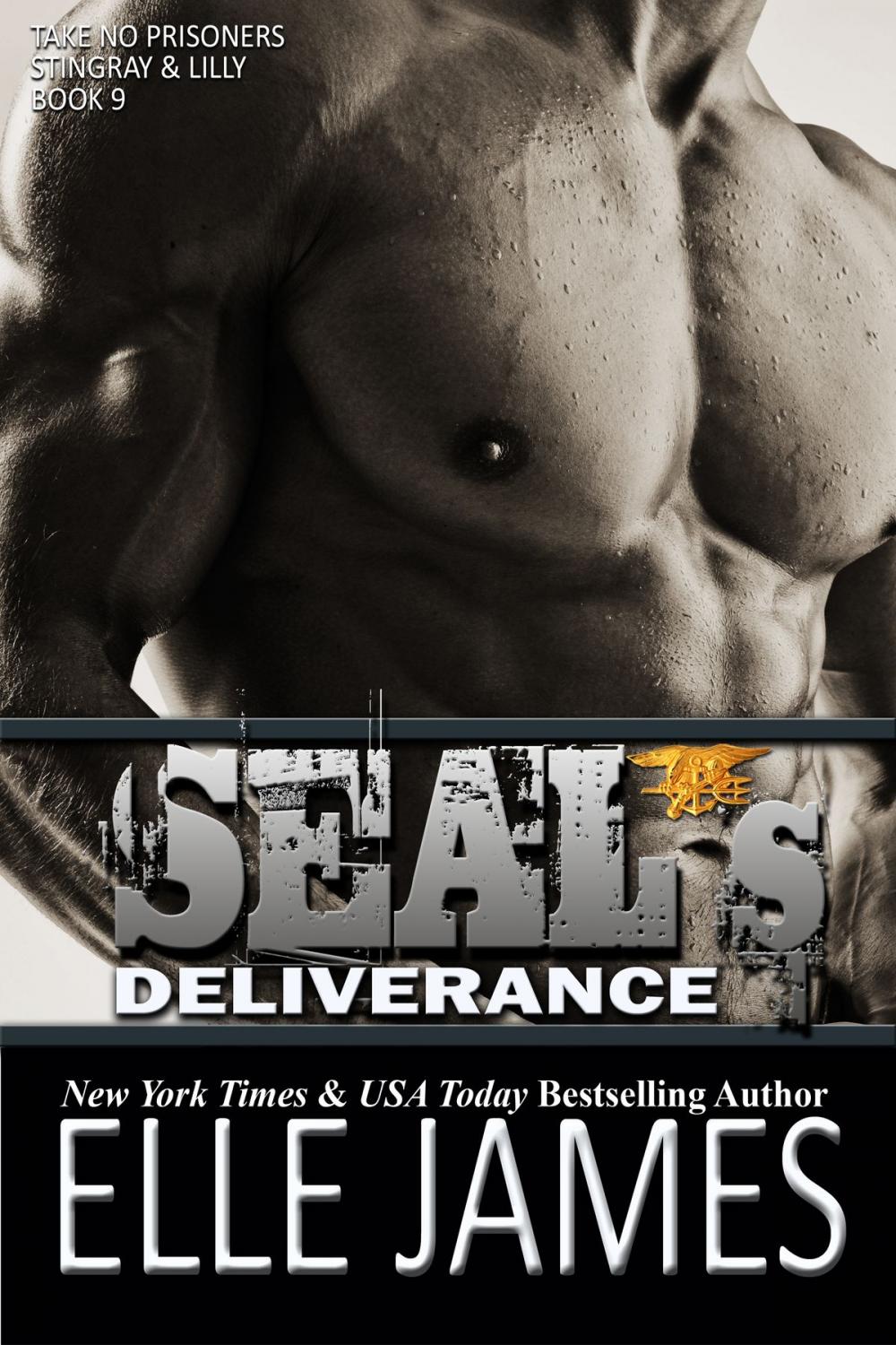 Big bigCover of SEAL's Deliverance