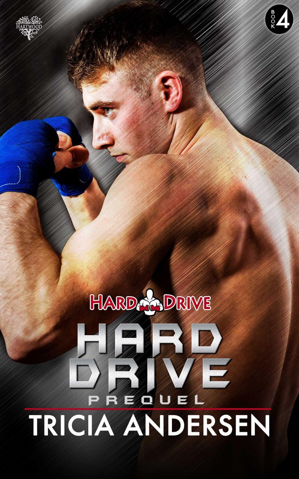 Big bigCover of Hard Drive