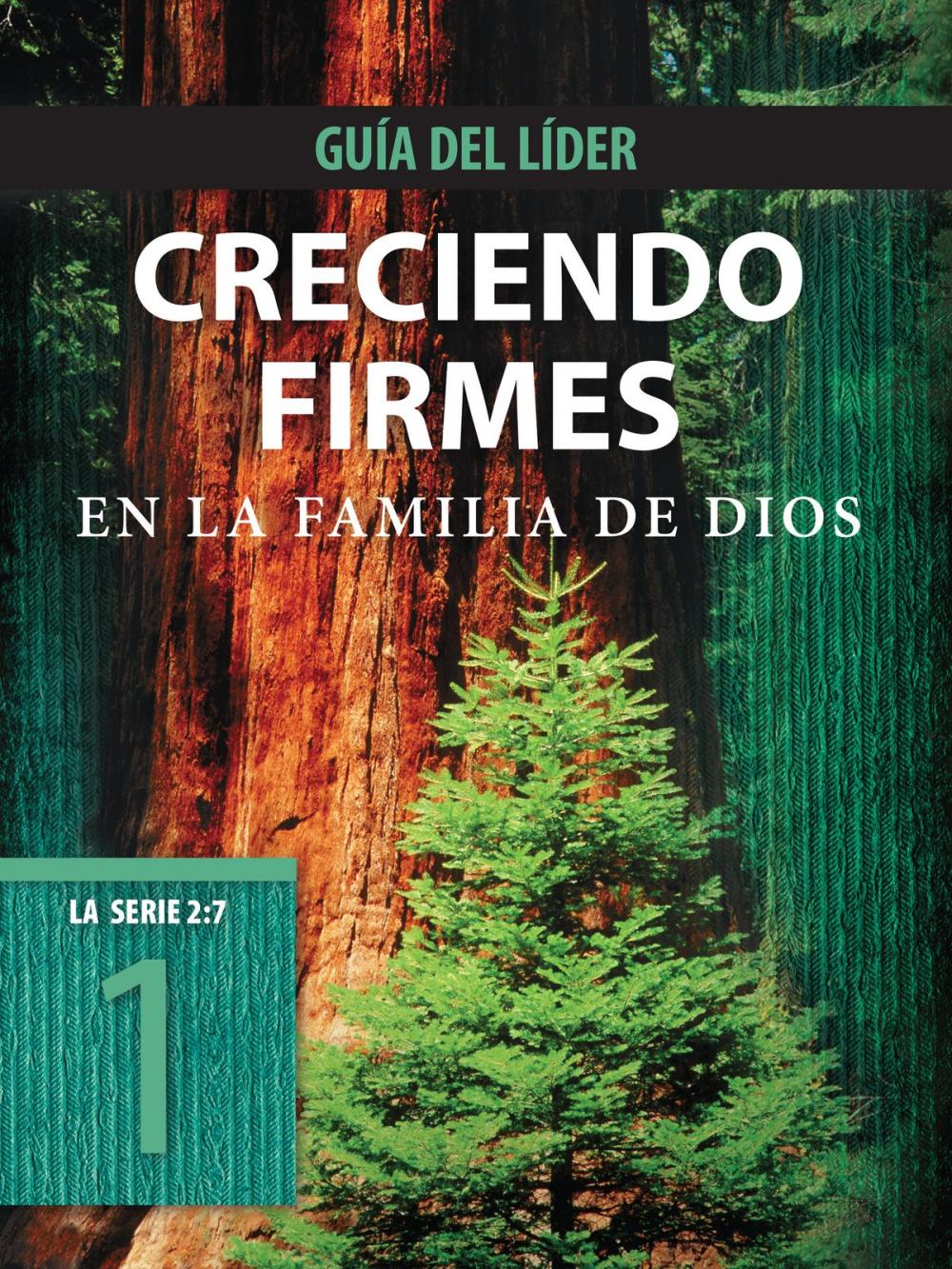 Big bigCover of Creciendo firmes en la familia de Dios, Guía del líder