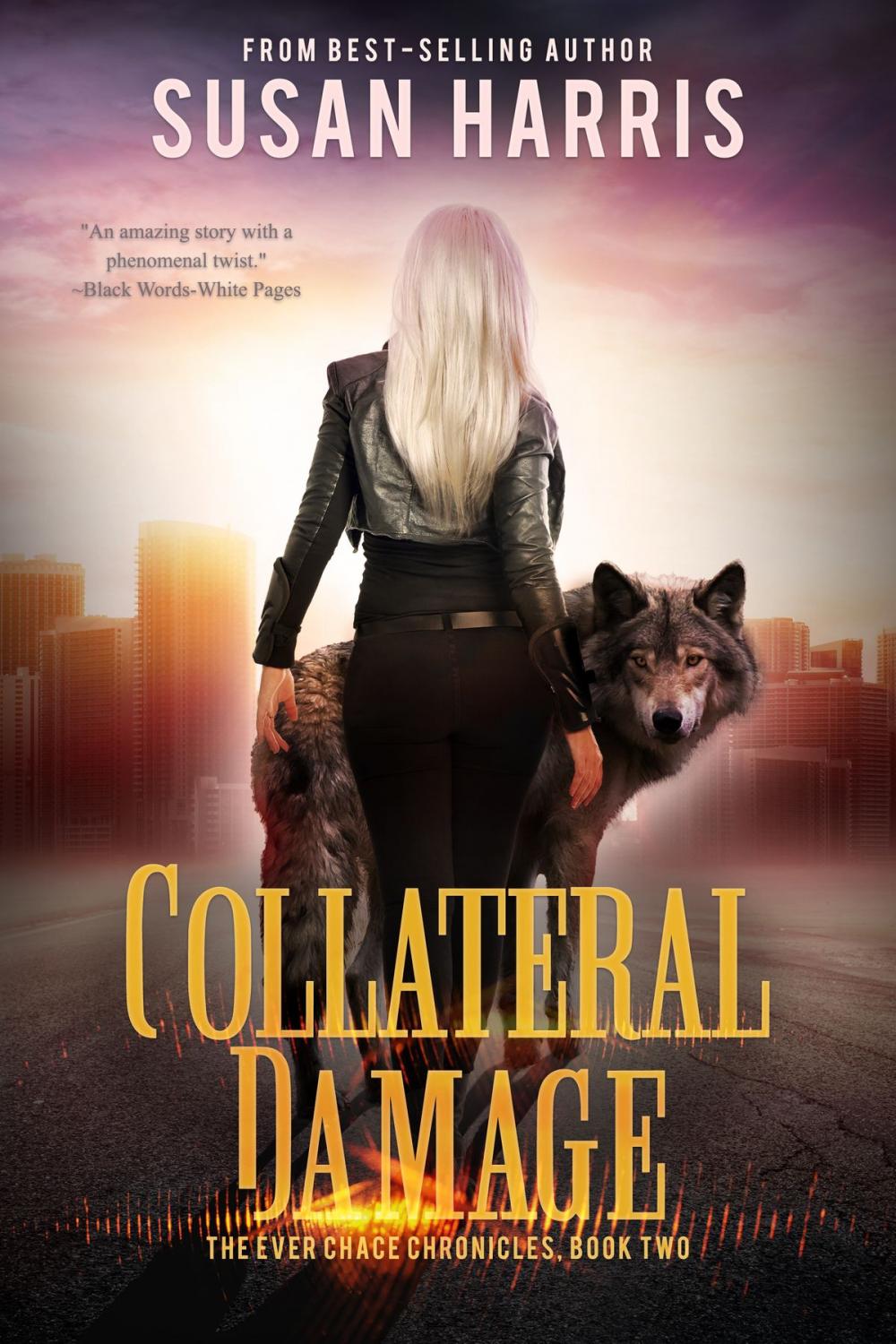 Big bigCover of Collateral Damage